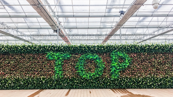 乐鱼全自动托管智能温室大棚 乐鱼全自动托管智能温室大棚