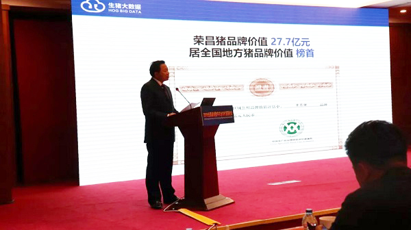 重庆市荣昌区委书记曹清尧介绍荣昌猪品牌 重庆市荣昌区委书记曹清尧介绍荣昌猪品牌