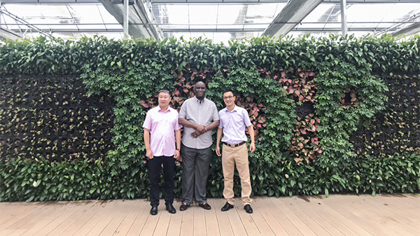 加强国际化合作:尼日利亚农业银行行长来访乐鱼