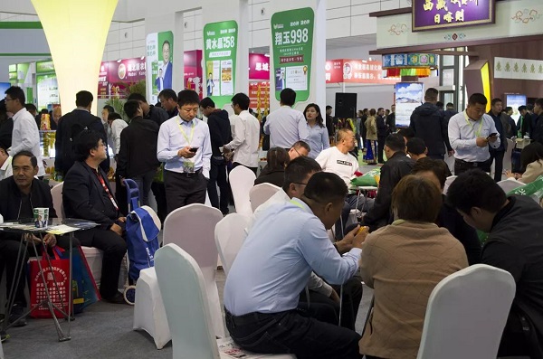 展会现场 展会现场