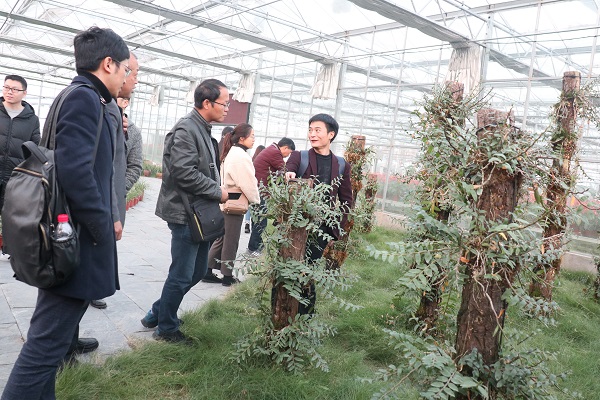 培训班参观乐鱼临浦基地 培训班参观乐鱼临浦基地