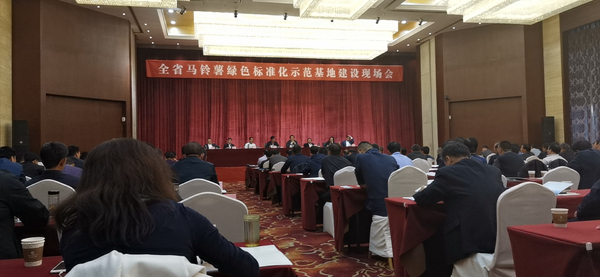 数字应用保障标准化种植,乐鱼助力甘肃马铃薯产业化之路