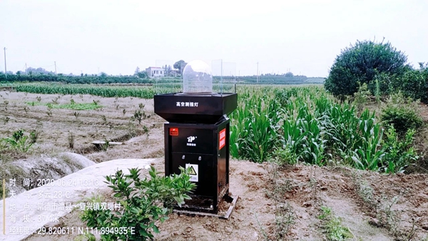 高空测报灯 高空测报灯
