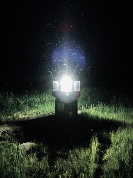 科技尖兵,夜灯长明 科技尖兵,夜灯长明