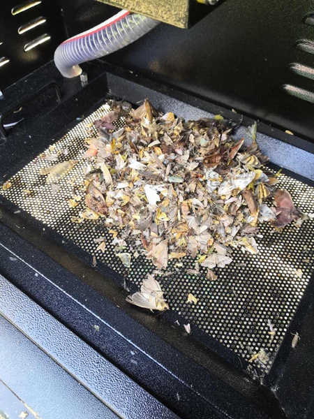 机器诱捕烘干后的虫体(部分) 机器诱捕烘干后的虫体(部分)