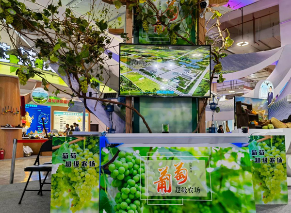 超级农场 超级农场