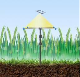 小麦亩穗数测量系统 小麦亩穗数测量系统