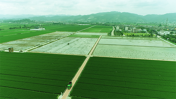 1628660638831989.jpg 古林1.jpg