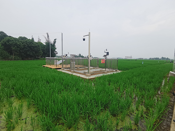 1629958967222089.jpg 图片1.jpg