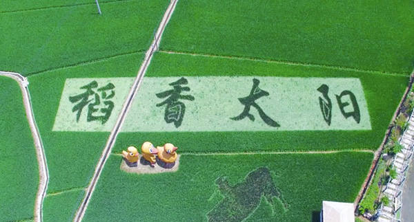 1637301210202570.jpg 1.jpg