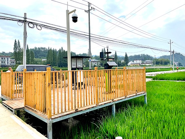 1637301227722741.jpg 2.jpg