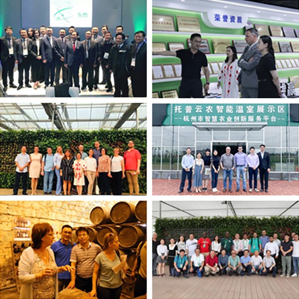 1638773668121722.jpg 6.jpg