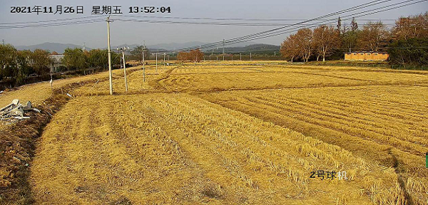 1639372300183243.png 图片3.png