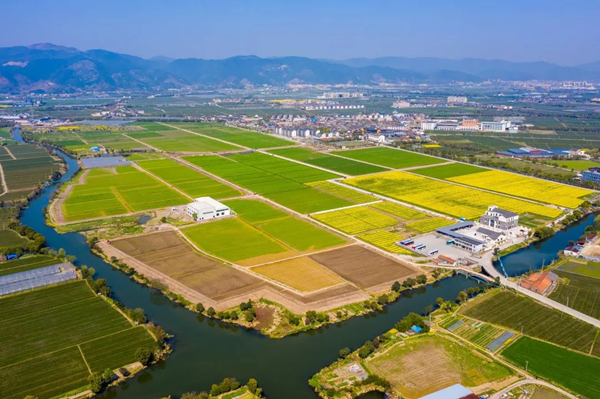 1648516315370445.png 古林数字大田.png