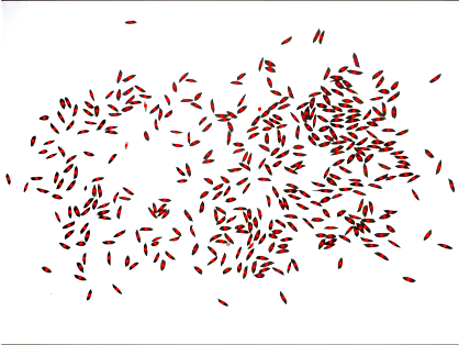 1649321659696739.png 1、水稻表型检测系统-水稻数粒图.png