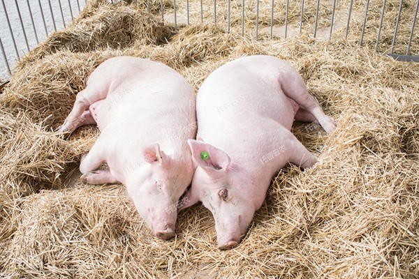 1650947254340478.jpg 2.jpg