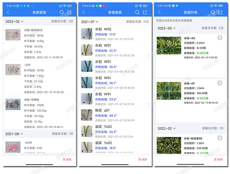 水稻表型检测仪数据结果 水稻表型检测仪数据结果