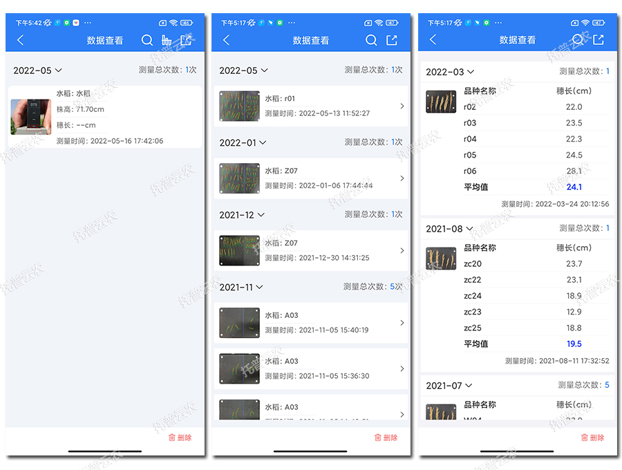 水稻表型检测仪数据结果2 水稻表型检测仪数据结果2
