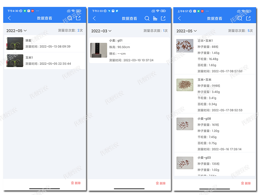玉米表型检测仪数据分析 玉米表型检测仪数据分析