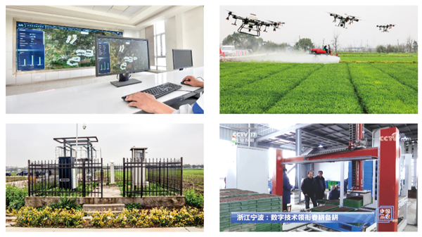 宁波海曙古林数字大田 宁波海曙古林数字大田