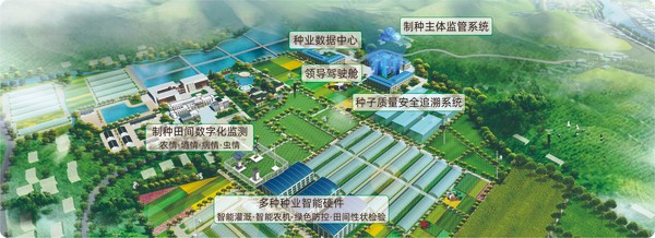 乐鱼数字种业创新应用基地 乐鱼数字种业创新应用基地