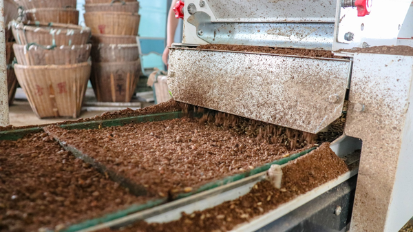 乐鱼打造的古林育秧工厂 乐鱼打造的古林育秧工厂