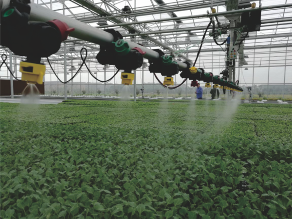 乐鱼打造的萧山农科所现代农业示范基地 乐鱼打造的萧山农科所现代农业示范基地