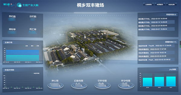 乐鱼打造的“生猪精密智管”社会化服务应用 乐鱼打造的“生猪精密智管”社会化服务应用