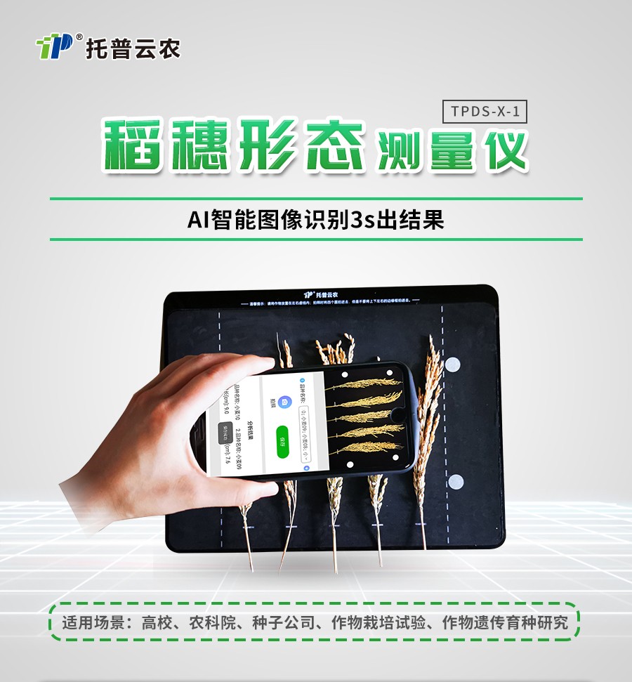 稻穗形态测量仪 稻穗形态测量仪