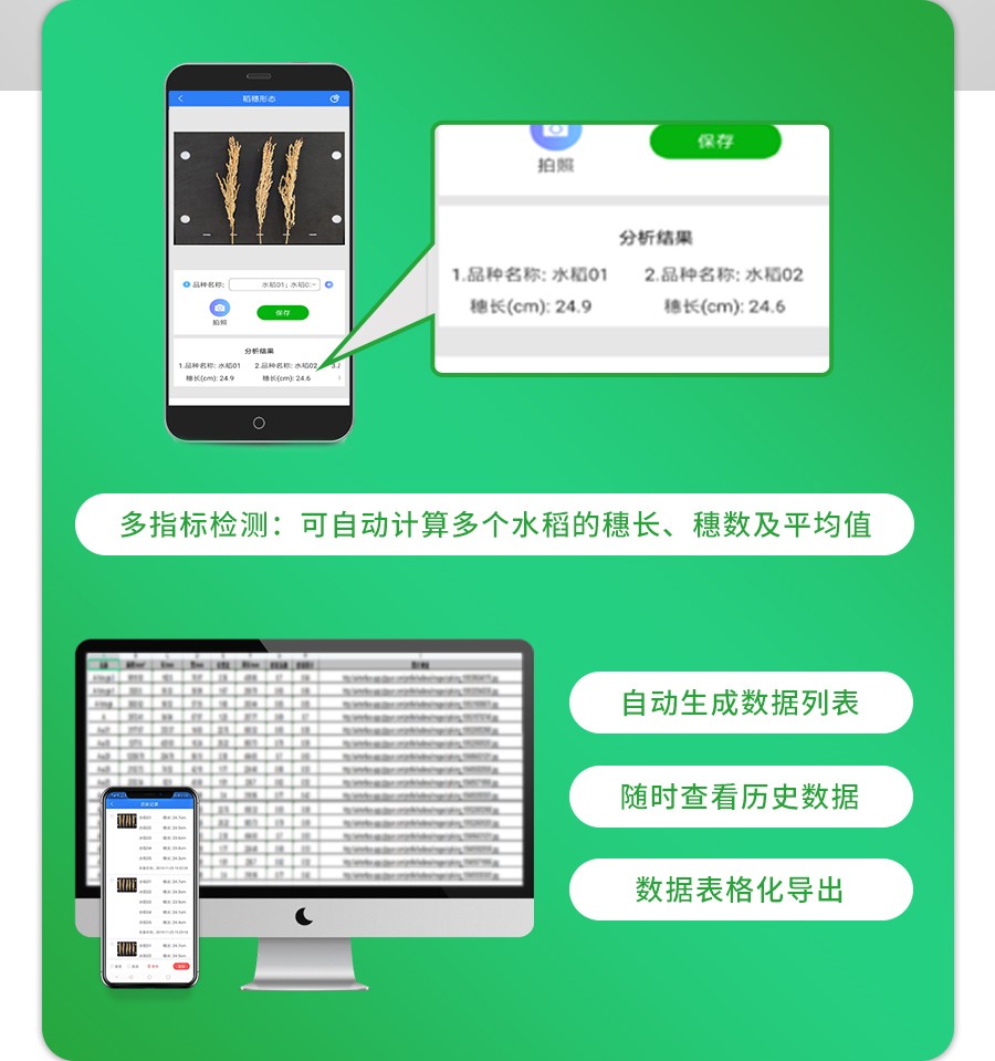 稻穗形态测量仪 稻穗形态测量仪
