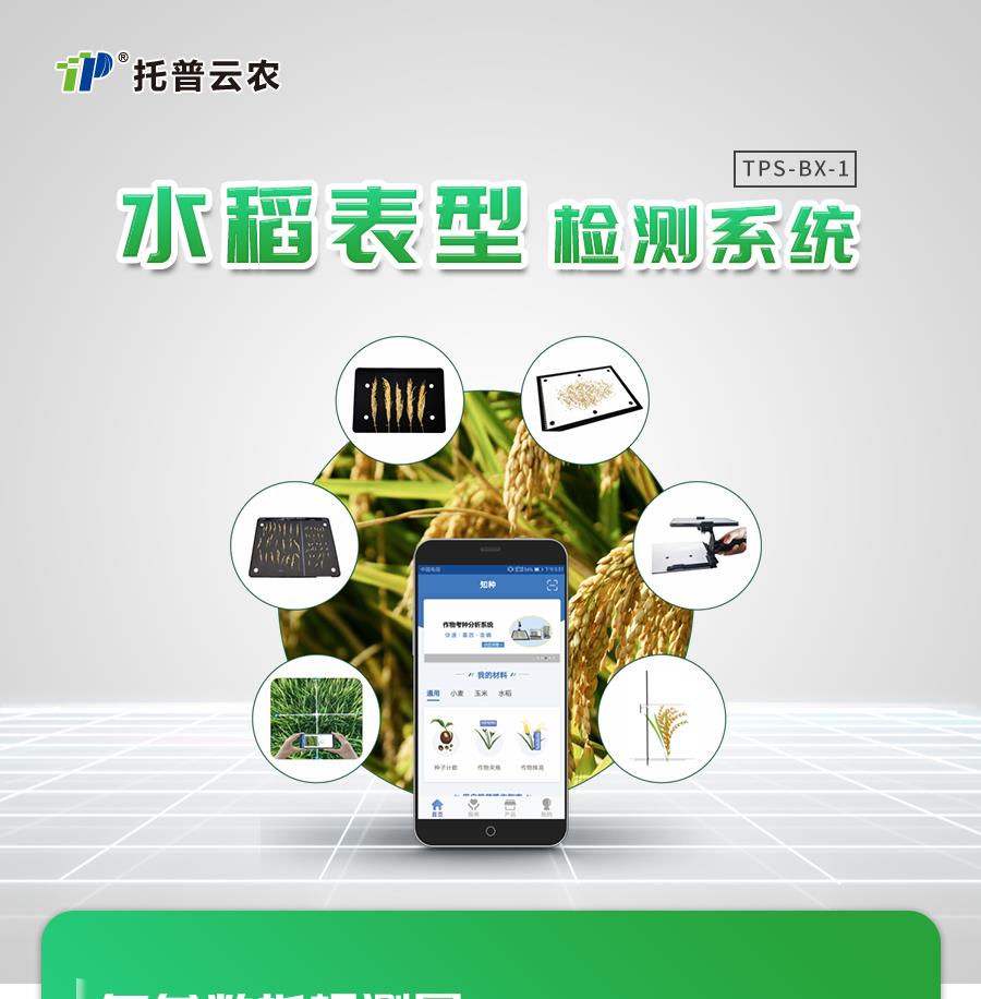 水稻表型检测系统 水稻表型检测系统
