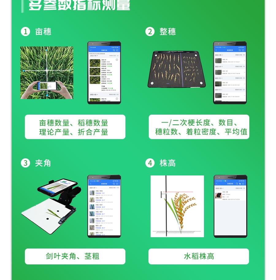 水稻表型检测系统 水稻表型检测系统