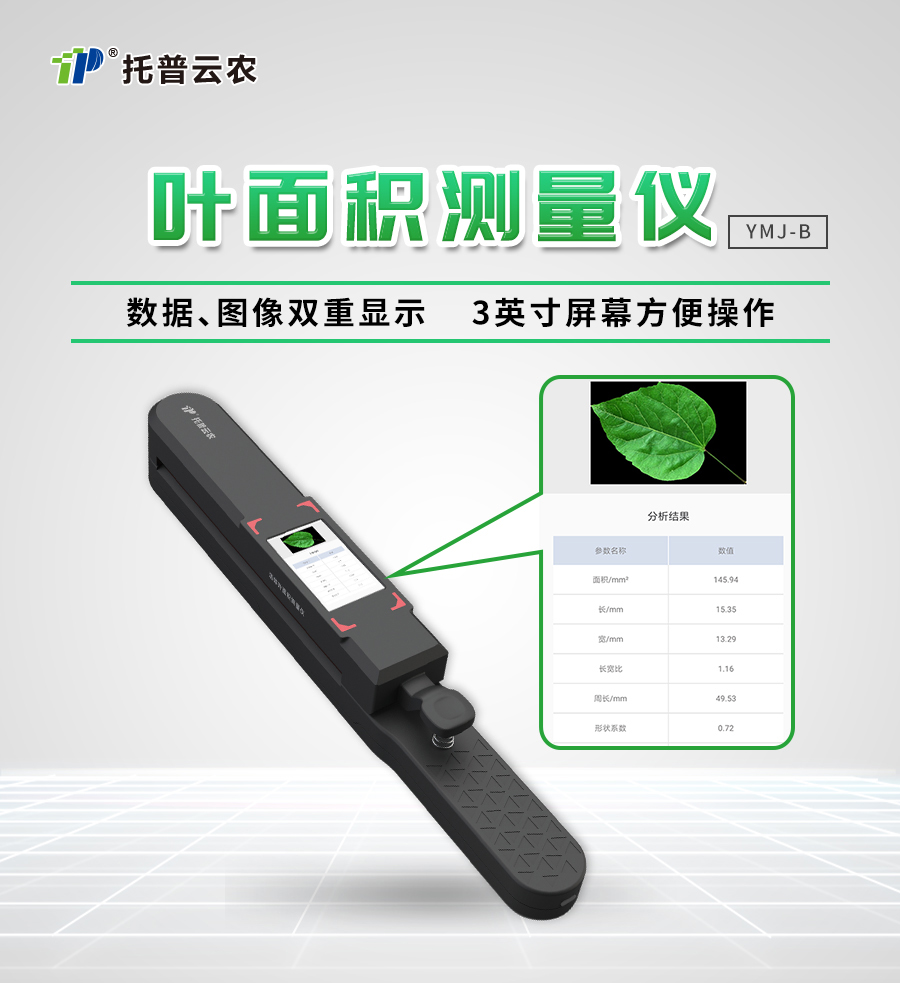 活体叶面积测量仪 活体叶面积测量仪