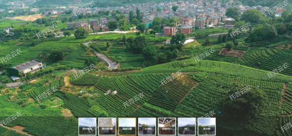 1685945738601621.jpg 2.jpg