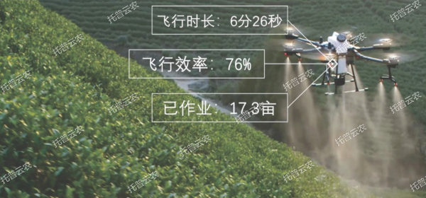 1685945798314886.jpg 3.jpg