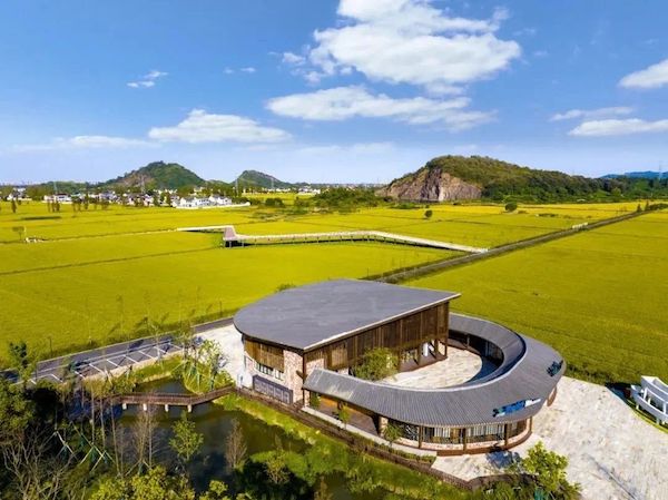 1710838423899051.jpeg SEO.jpeg