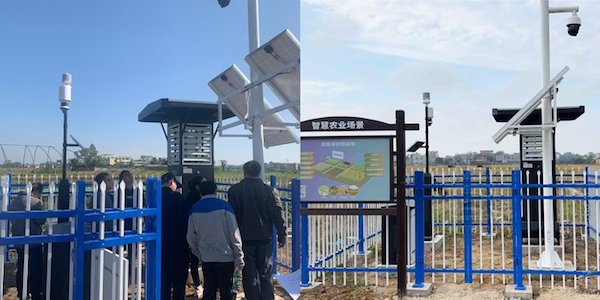 1716885431283470.jpg 3.jpg