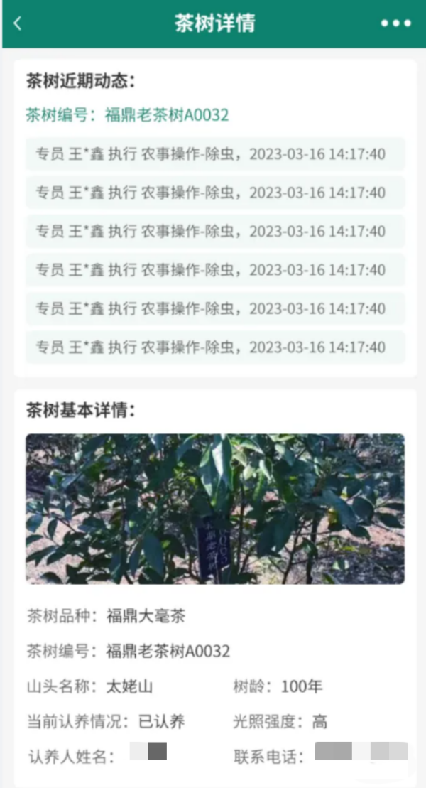 1716886384122121.png 8认养茶树_副本.png