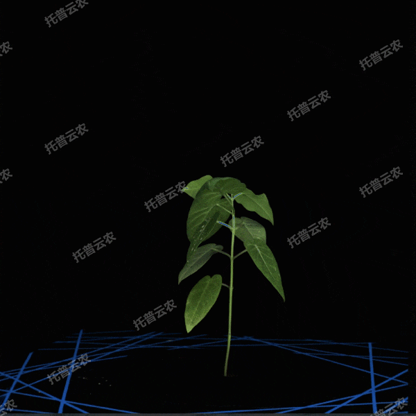 1723434792329153.gif 1723434792329153.gif