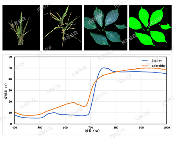 1724143258974152.jpg 12.jpg