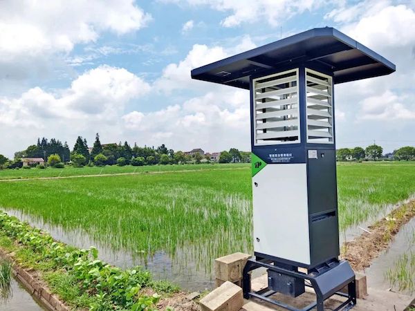 1724391079177397.jpeg 5.jpeg