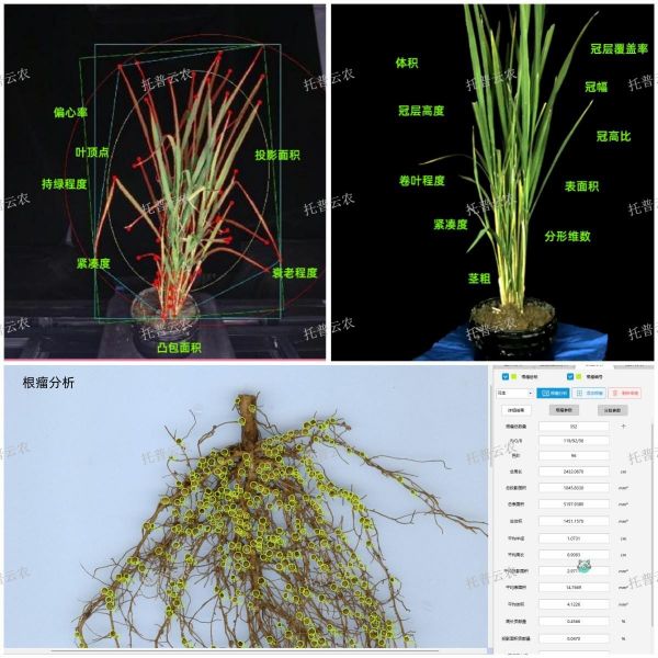 1724747773503252.jpg seo (3).jpg