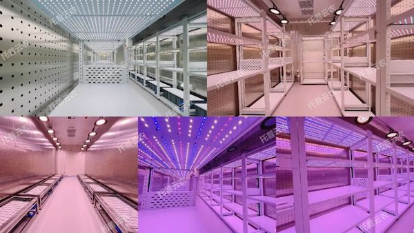 1726216285182460.jpeg 1.jpeg