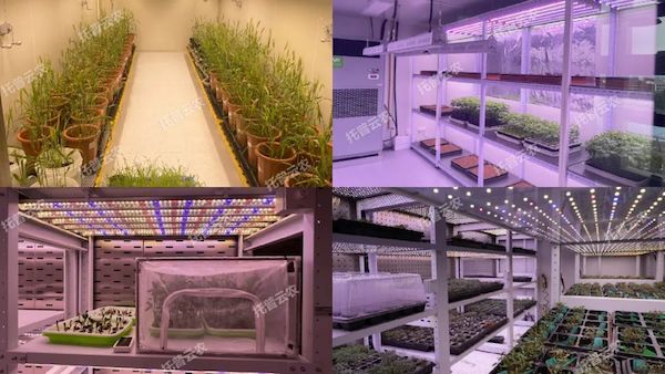 1726216391710544.jpeg 3.jpeg