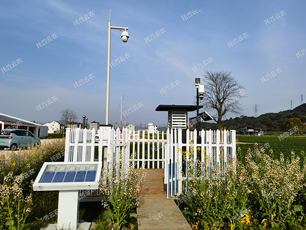 1727167071419041.jpg 5.jpg