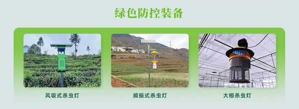 1727254082900849.jpeg 5.jpeg