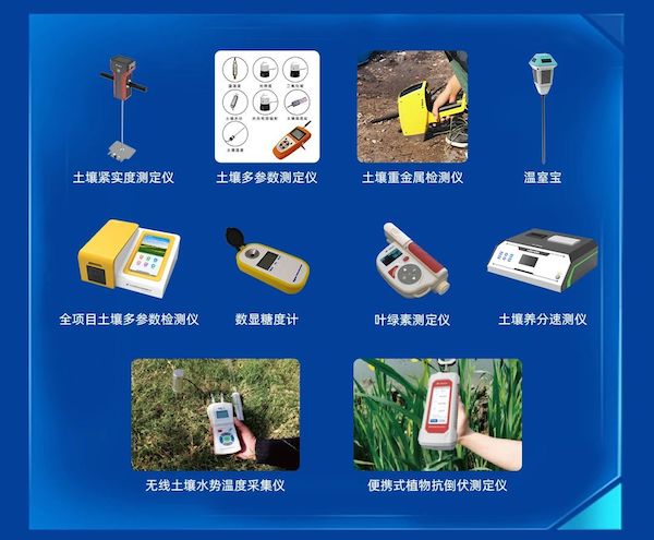 1729586203348245.jpeg 2.jpeg