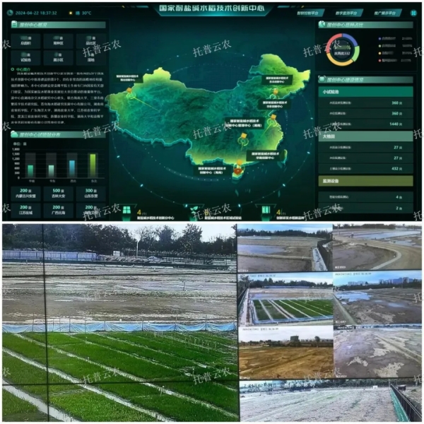 1729932950367910.jpg 三亚耐盐碱地中心.jpg