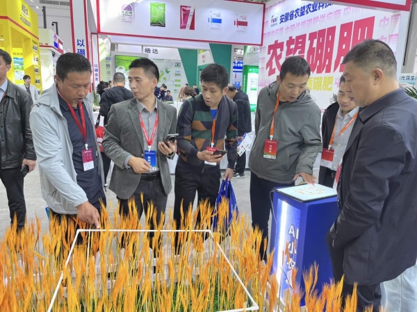 1729933068906184.jpg 小农人稻穗_副本.jpg