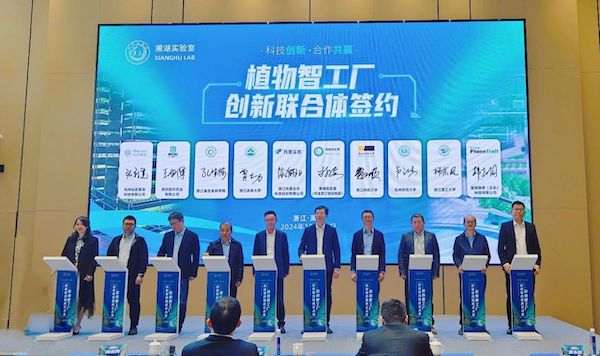 1733477260274315.jpg 3.jpg